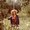 Photo of Sue N.