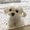 Photo of Jackie X.