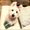 Photo of Mitzi L.