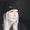 Photo of Brandy H.
