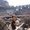 Photo of Marilena L.