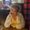 Photo of Dianne L.