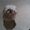 Photo of Chloe R.
