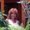 Photo of Angela G.