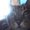 Photo of Aydan C.