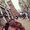 Photo of Minda K.