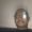 Photo of Brian T.