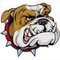 WatchDog N.