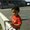 Photo of Cindy P.