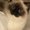 Photo of Coco H.