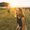 Photo of Armanie A.