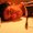 Photo of Piali M.