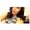 Photo of Tinaya S.