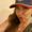 Photo of Becky C.