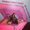 Photo of Thao H.