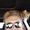 Photo of Danny N.