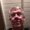 Photo of Laars H.