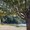 Photo of Me M.