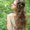 Photo of Sarah T.