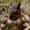 Photo of Qype User (christ…)