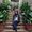 Photo of Samira L.