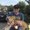 Photo of Chris S.