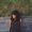 Photo of Melissa S.