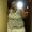 Photo of Gwendolyn C.