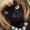 Photo of Diana C.