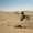 Photo of Zareh T.
