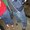 Photo of Kimberly P.