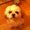 Photo of Pearl C.