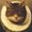Photo of Ace Z.