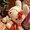 Photo of Duckie L.