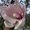 Photo of Jasleen D.