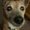 Photo of Winifred L.