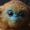 Photo of Spartachris