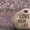Photo of Love L.