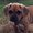 Photo of Danette S.