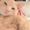Photo of Mariee-Sissy S.