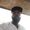Photo of Jermall R.