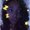 Photo of Princess A.
