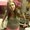 Photo of Abbie K.