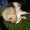 Photo of Qype User (lydsey…)