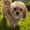 Photo of Anabelle M