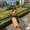 Photo of Prina P.