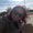 Photo of Sarah R.