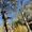 Photo of Michelle K.