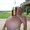 Photo of Qype User (juchad…)