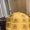 Photo of Daniel S.